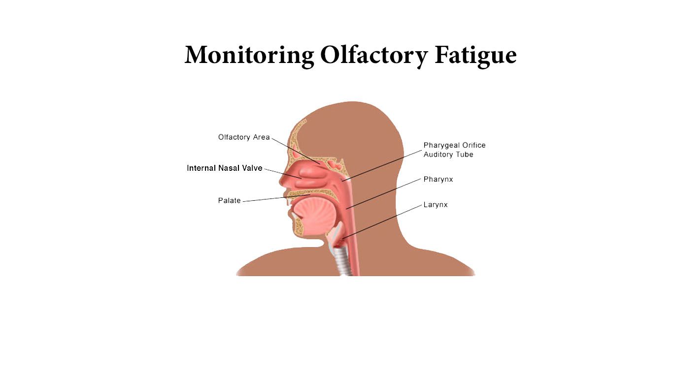 Olfactory Fatigue is a common experience of losing the sense of smell.
